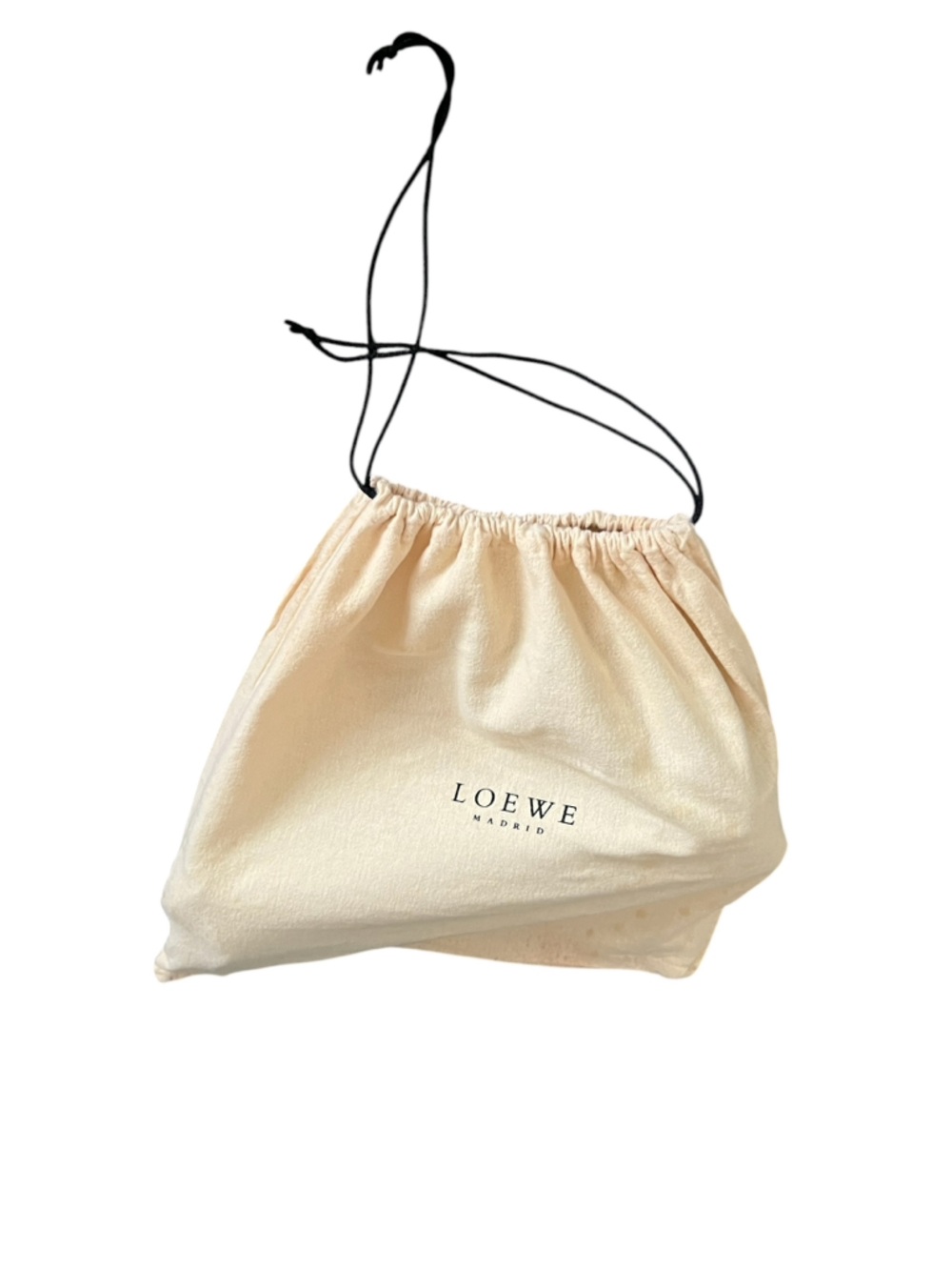 LOEWE Crossbody Messenger Bag - Picture 13 of 14